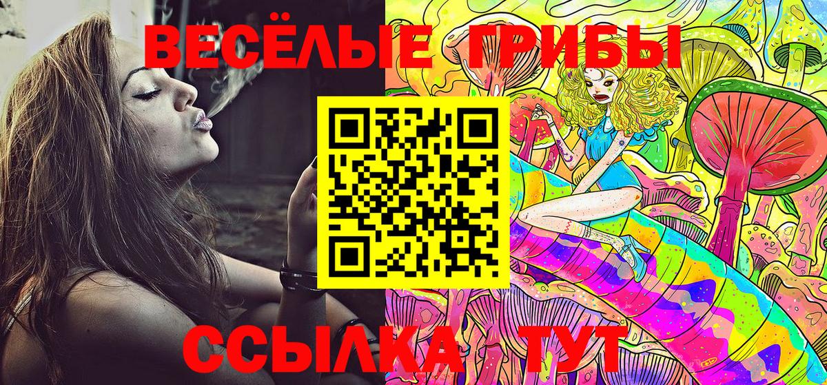 Новомосковск  Псилоцибиновые грибы MAGIC MUSHROOMS  где найти наркотики  Вход с VPN 
